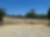 IMG_3514.jpeg