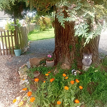 20260528_120722.jpg