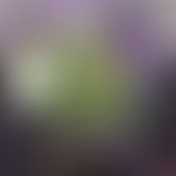 Brand Refresh, Not Rebrand: How Duolingo, Fenty & Discord Updated Without Starting From Scratch