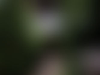 9月19日護摩祈祷中止のお知らせ