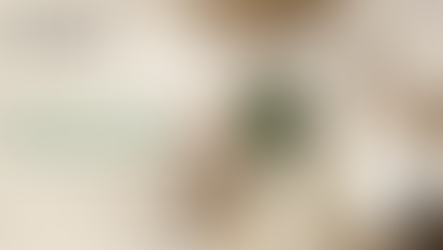 Japandi - Decoração Serena e Comfy