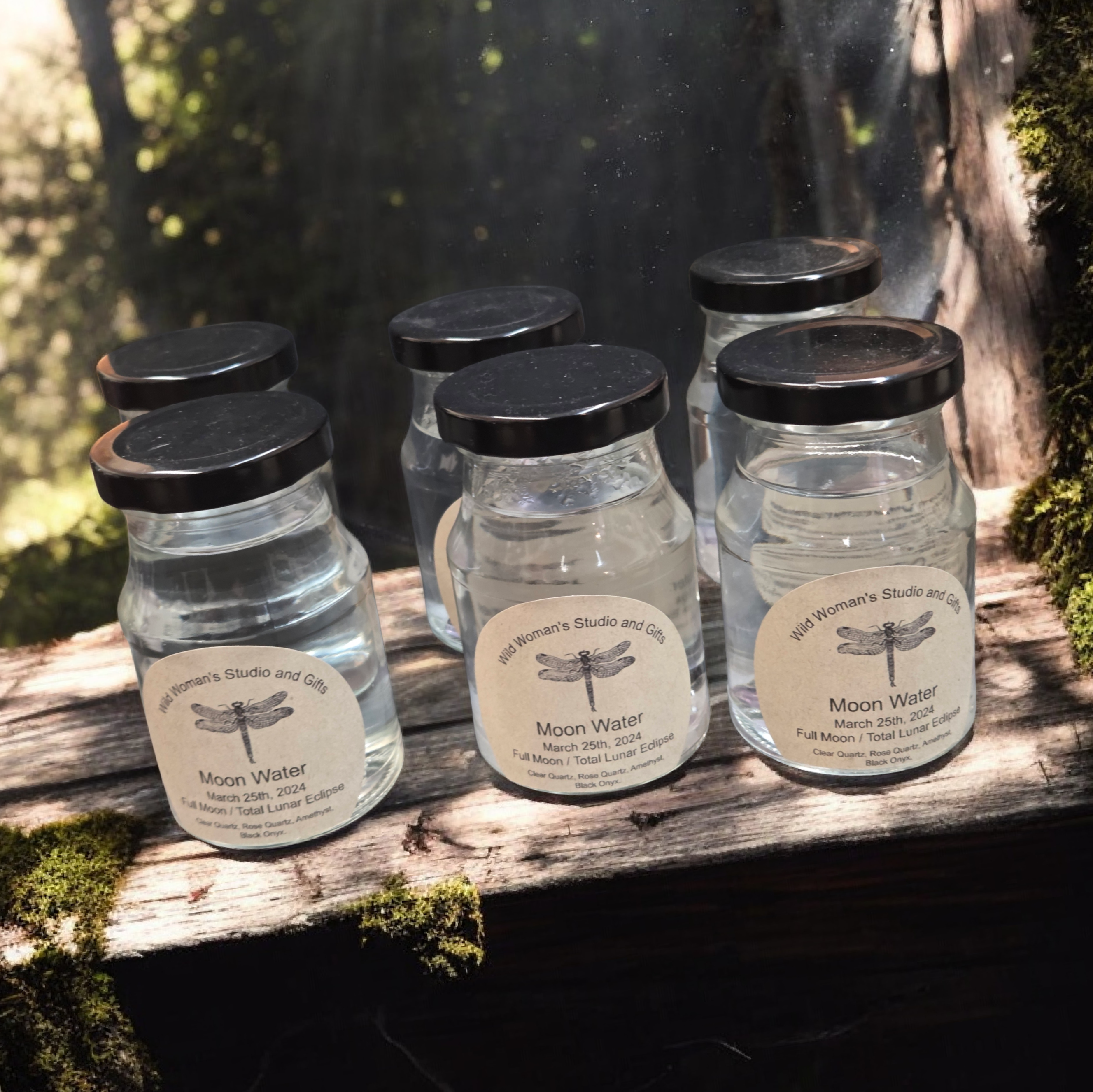 Moon Water – March 25th, 2024 Lunar Eclipse