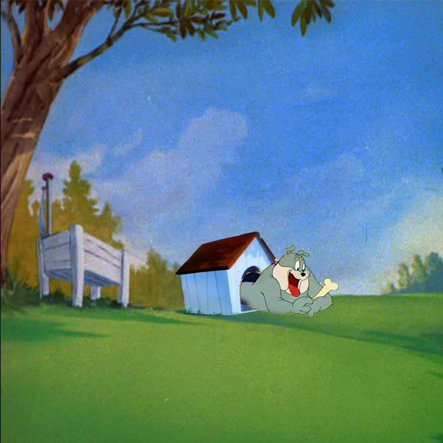 Animated-Gif_Ayesha-Sultan_per4 (1).gif