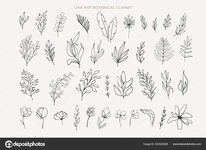 Contour line_flower_2.jpeg