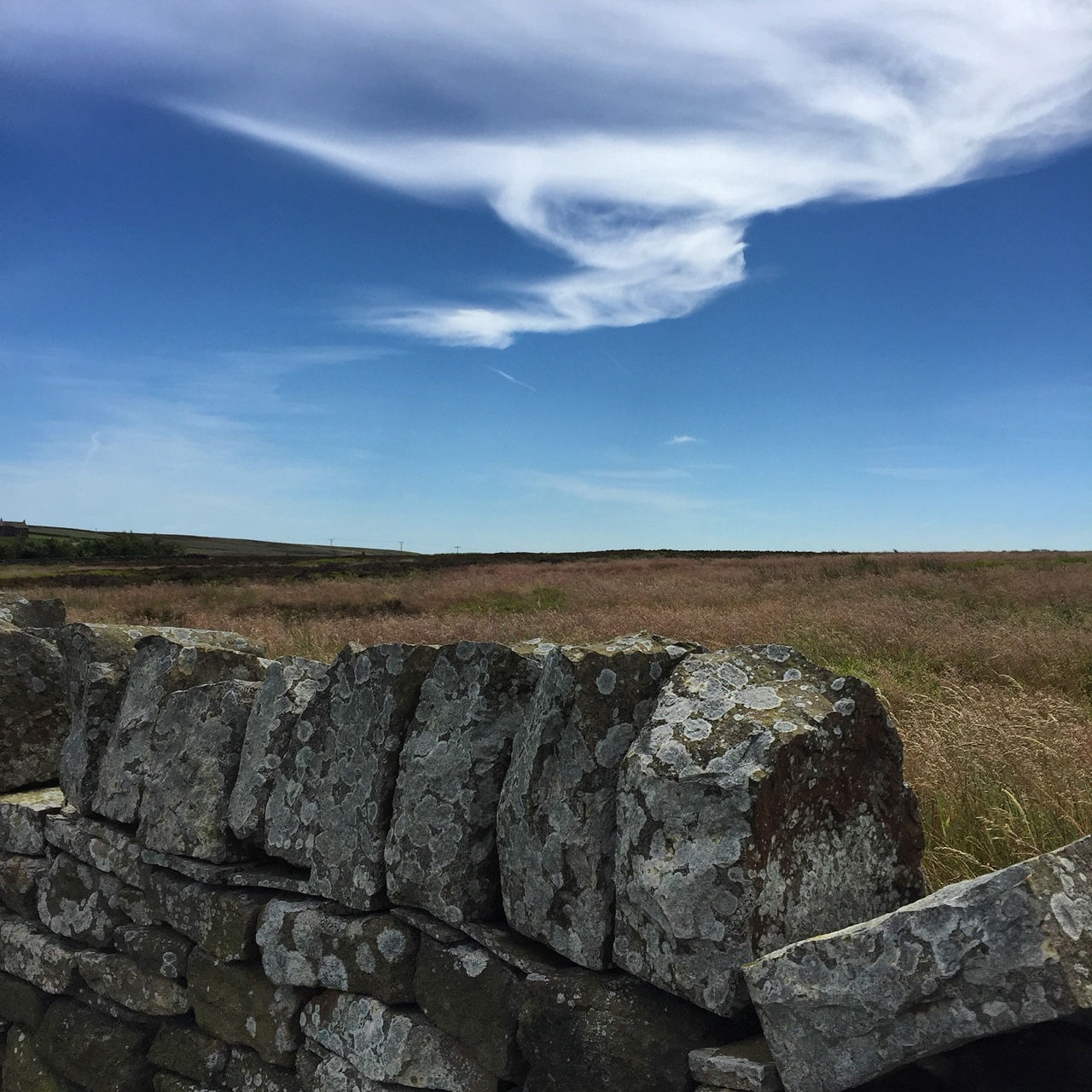 Yorkshire dry stone wall