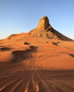 Fossil Rock in Mleiha