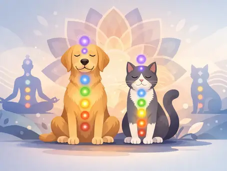 Dog and Pet Chakra Balance