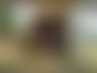 Fiesta Patronal Cebadas 2024, una tradición que buscan compartir