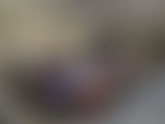 Instituto Hidalguense de las Mujeres