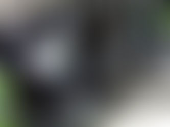 Policía Industrial Bancaria del Estado de Hidalgo