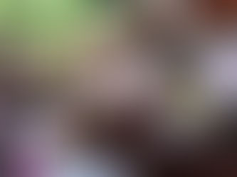 Muestra Gastronómica de Santiago de Anaya