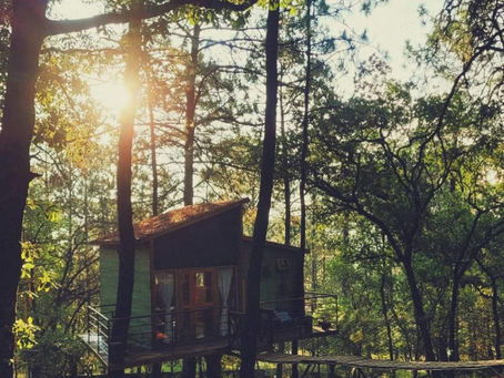 Huasca de Ocampo, Hgo., 24 de marzo de 2024.