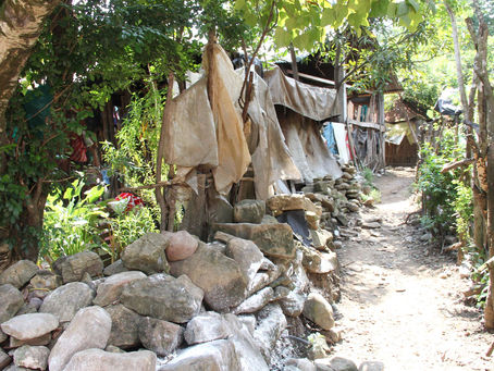 Llama la SSH a prevenir mordeduras de reptiles en temporada de calor