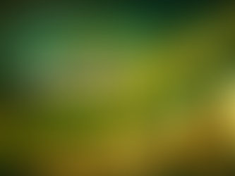 AMD bereikt all time high na +7%: dit is waarom de rally nog niet voorbij is