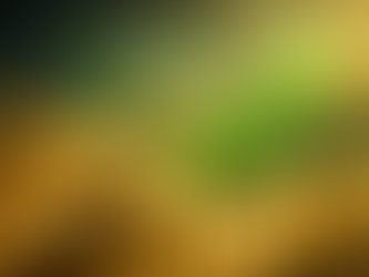 3 Monster aandelen met kans op 10x in de komende 10 jaar