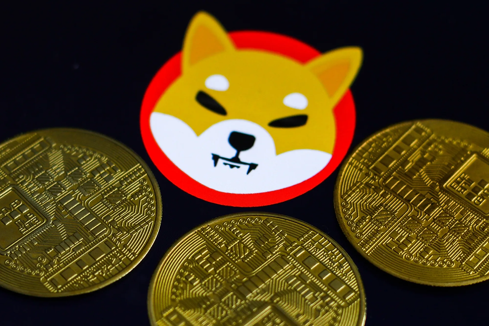 Shiba Inu naar $1? Dit enorme probleem maakt de kans vrijwel nihil