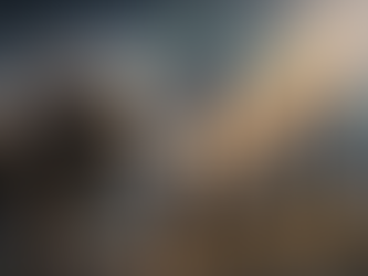 Top 5 breekt: analisten zien 5 aandelen de markt overnemen