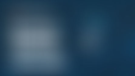 Market Update – February 2026