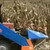 Thumbnail: CORN HARVESTER - 2 ROWS