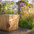 Luke_Coleman_RHS_Wentworth_2025_29.jpg