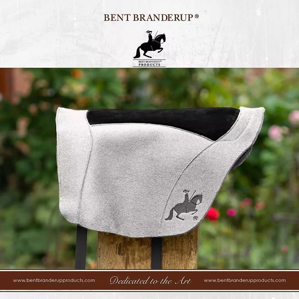 Thumbnail: Bent Branderup Education Pad filt