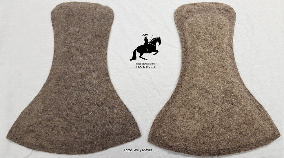 Thumbnail: Bent Branderup Education Saddle