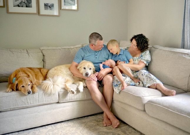 A family of four cuddles their newborn baby boy on the couch while their two golden retrievers lounge on the side.