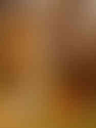 A family of four walks through beautiful woods in the autumn with their dog leading. 