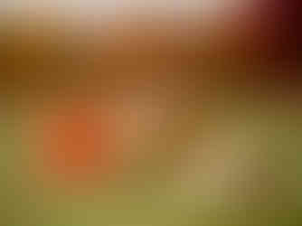 A family of four happily smiles at their dog while sitting in a field. 