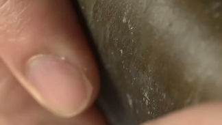 「 Noma Projects Dashi RDX 」Music Video