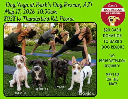 Dog Yoga at Barb’s Dog Rescue, AZ!.jpg