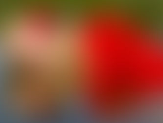 L'utérus : son sang et ses révélations.