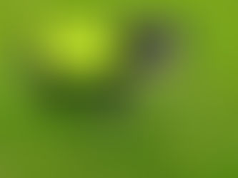 Winter Nights - Light it up