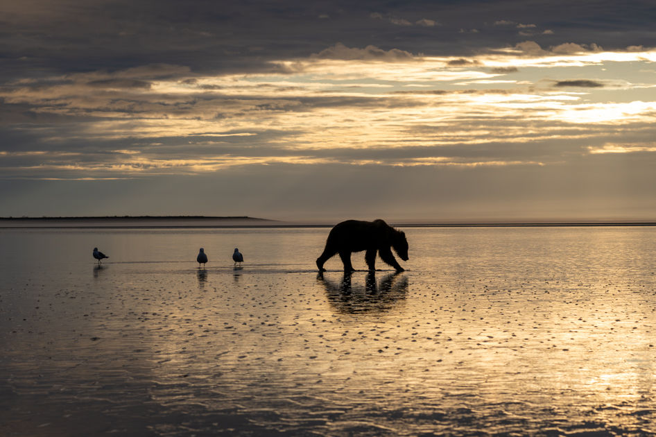Sunset at Lake Clark
