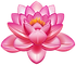 Lotus_Flower_PNG_Clipart-168.png