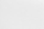 White paper texture.jpg