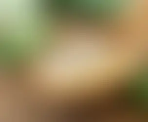  Nature’s Multitasker: Aloe Vera Gel for Glowing, Calm Skin.