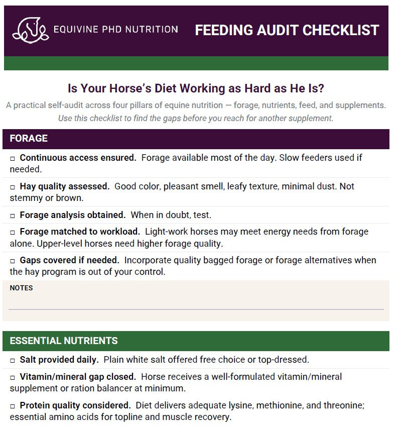 Feeding Audit Checklist (PDF Download)