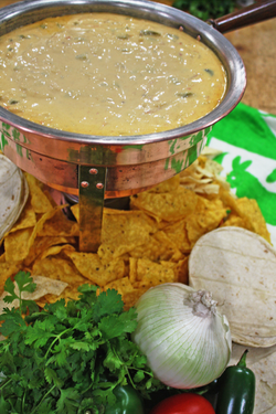 Sarah Jane's Finest Gourmet Queso