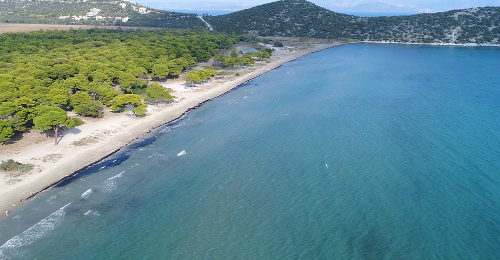 Το πευκοδάσος και η θάλασσα του Σχινιά | Φωτ. John Haanity