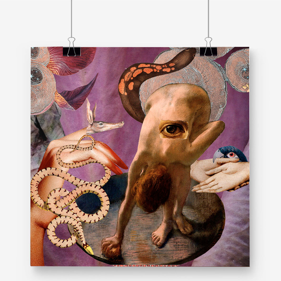 Mon oeil sur ton dos.