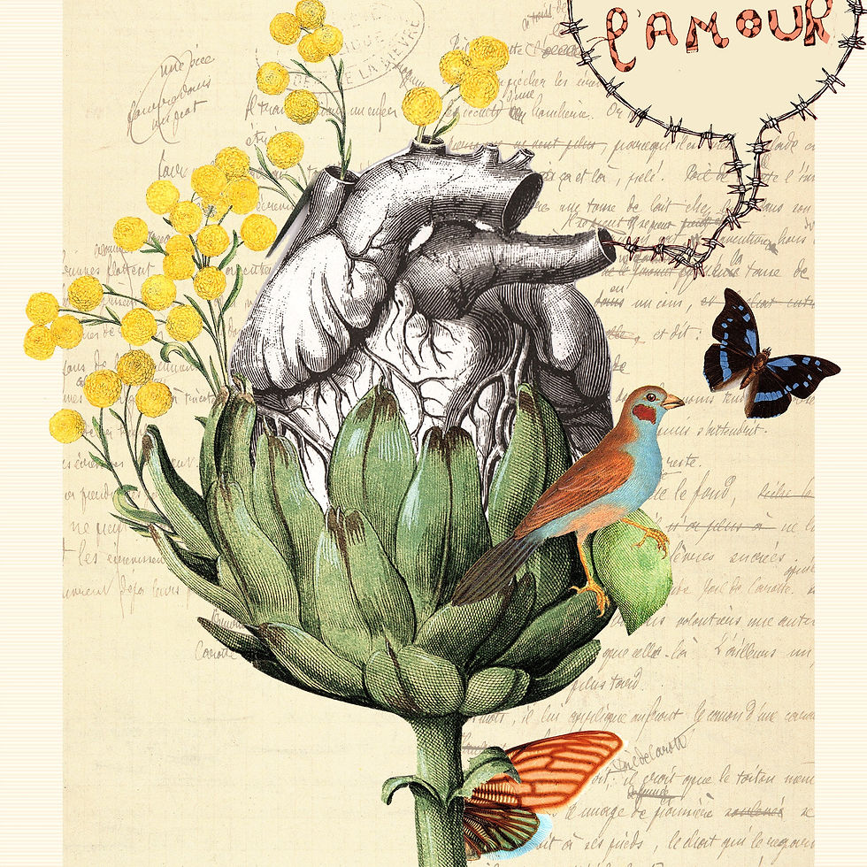 Miniature : "Coeur d'artichaut".