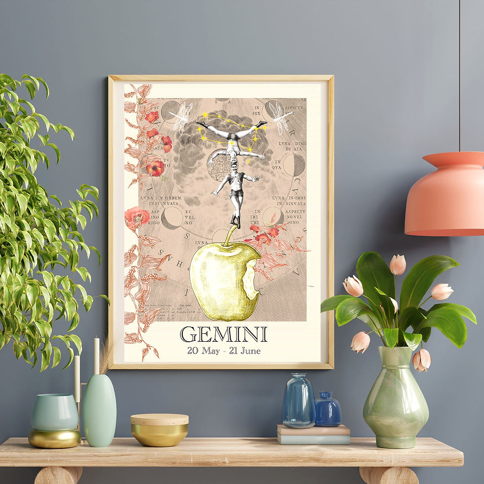 Miniature : Signe du gémeaux.