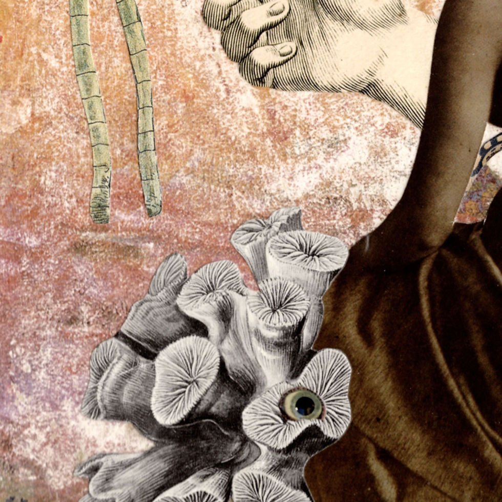 Miniature : Calotype