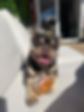 image12.jpeg