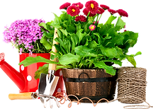 pngwing.com (3).png
