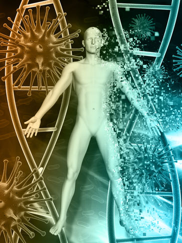 cellular regeneration & anti-inflammatory protocols