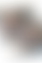 LIFE MOMENTS CAPTURED