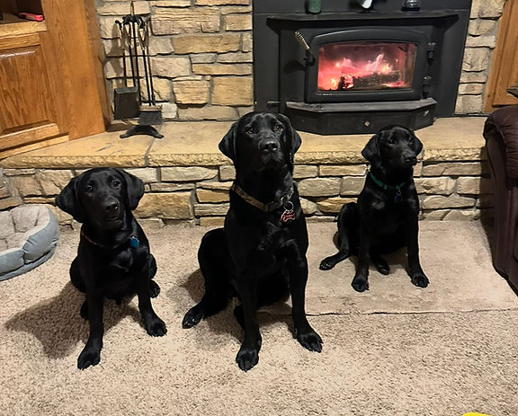 Charlie & Pups 3.jpg