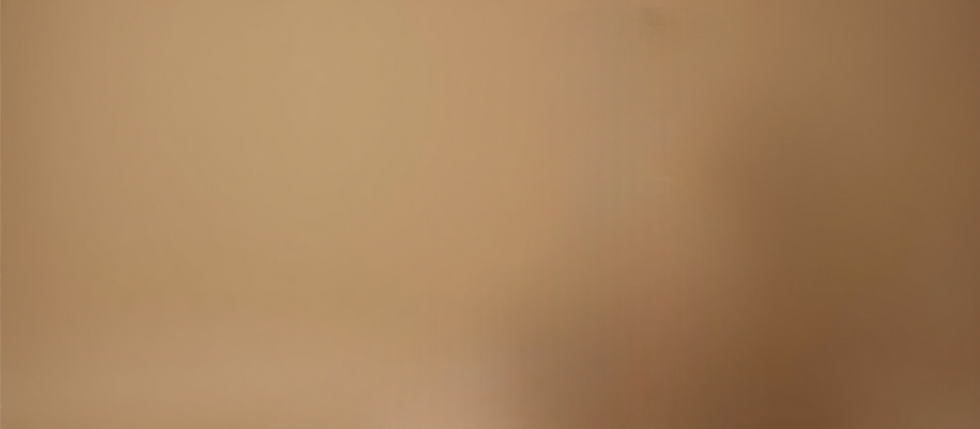imgi_1_3b945c_d036cdbf14484f33b250b7cefd827ffd~mv2-Photoroom.png